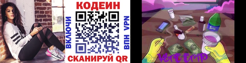 Codein Purple Drank  Купить  Сертолово 